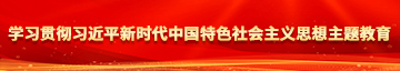 叉BB很牛AV学习贯彻习近平新时代中国特色社会主义思想主题教育